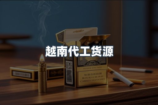越南代工货源